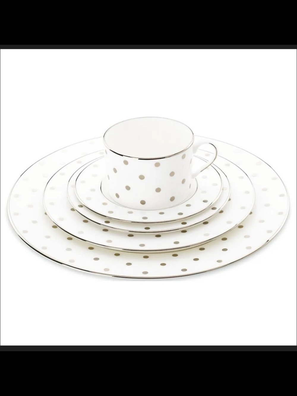 NWT Kate Spade Larabie Road Platinum 5-piece Polka Dot Porcelain Place Setting